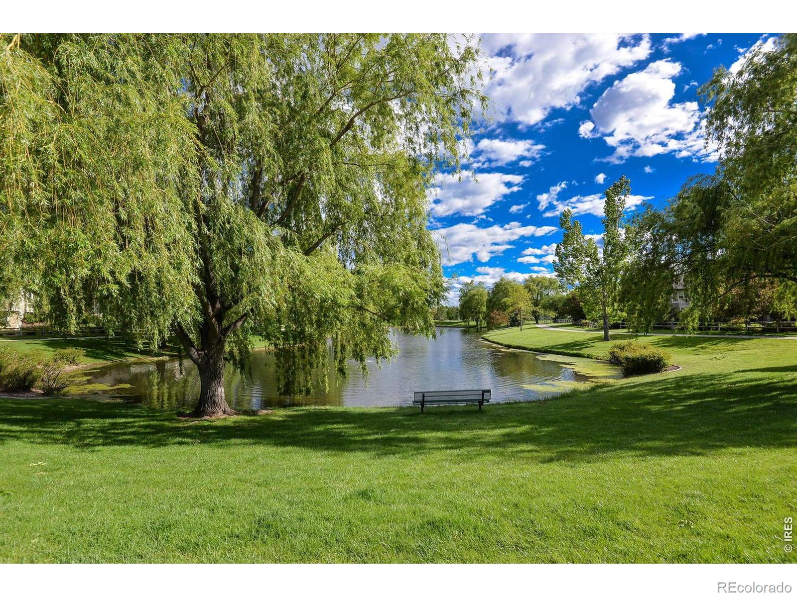 MLS Image #40 for 1614  fantail court,fort collins, Colorado