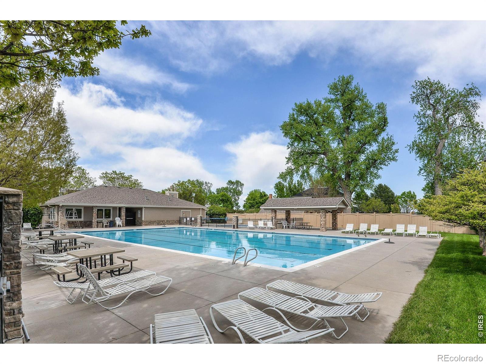 MLS Image #42 for 1614  fantail court,fort collins, Colorado