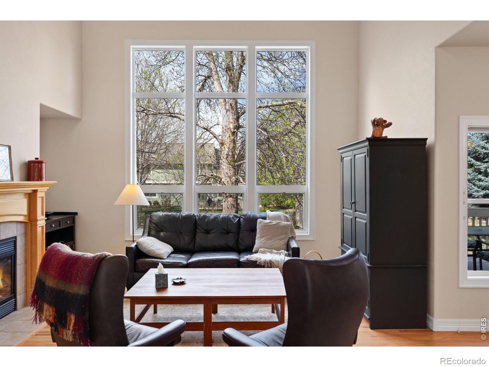 MLS Image #9 for 1614  fantail court,fort collins, Colorado