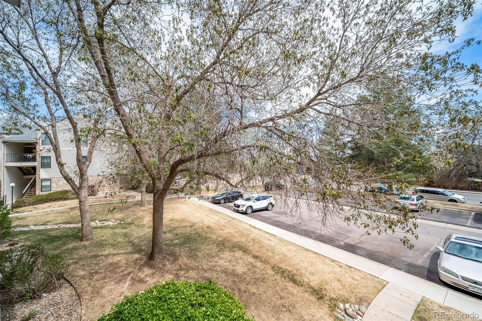 MLS Image #34 for 6765 s field street,littleton, Colorado