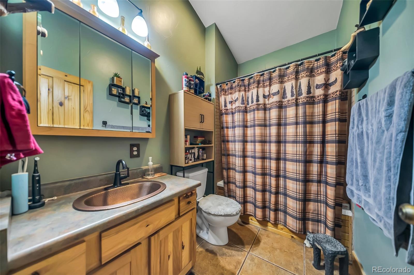 MLS Image #14 for 305 e moffat avenue,hot sulphur springs, Colorado