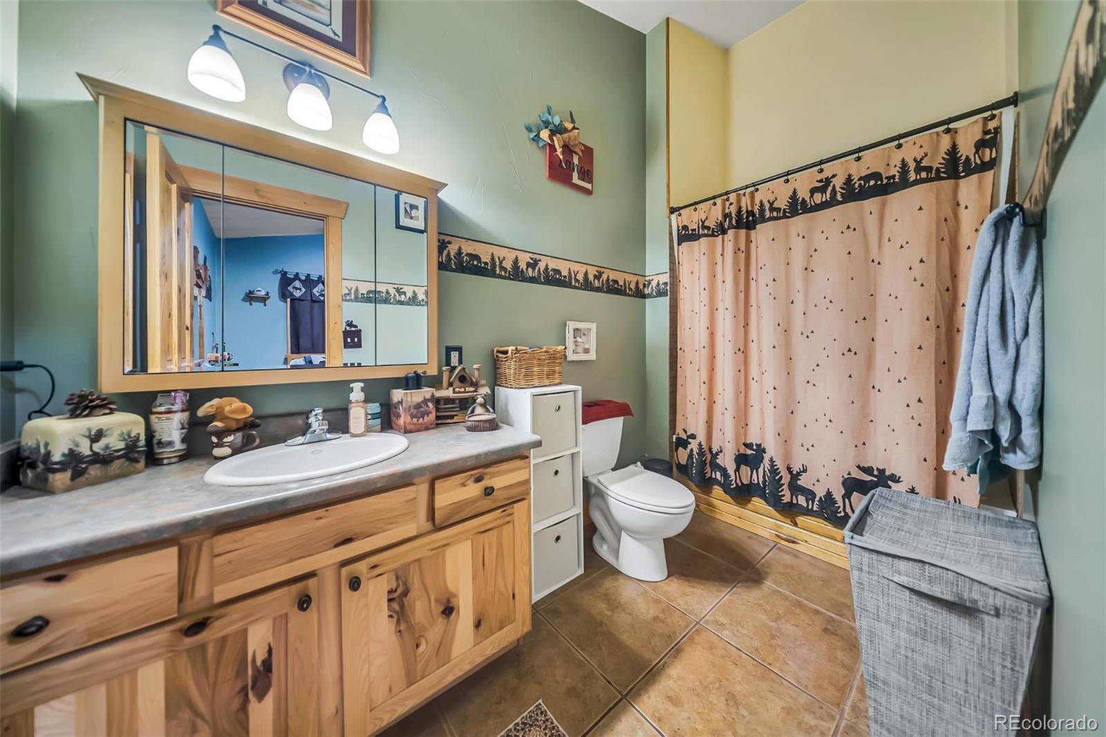 MLS Image #21 for 305 e moffat avenue,hot sulphur springs, Colorado