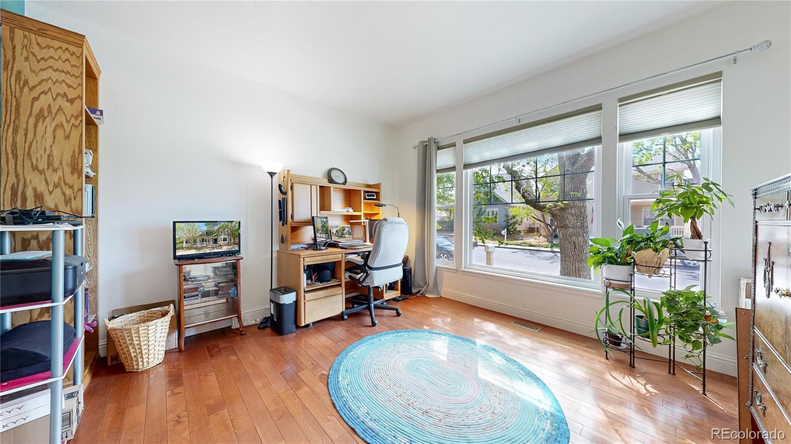 MLS Image #13 for 5121  mt arapaho circle,longmont, Colorado