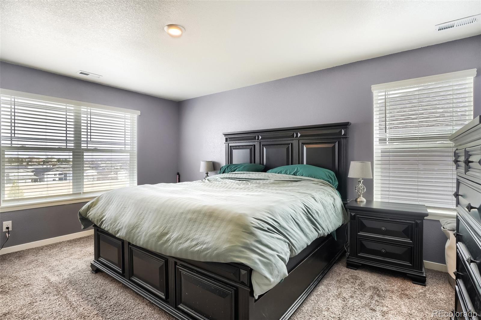 MLS Image #14 for 2015  rosette place,castle rock, Colorado