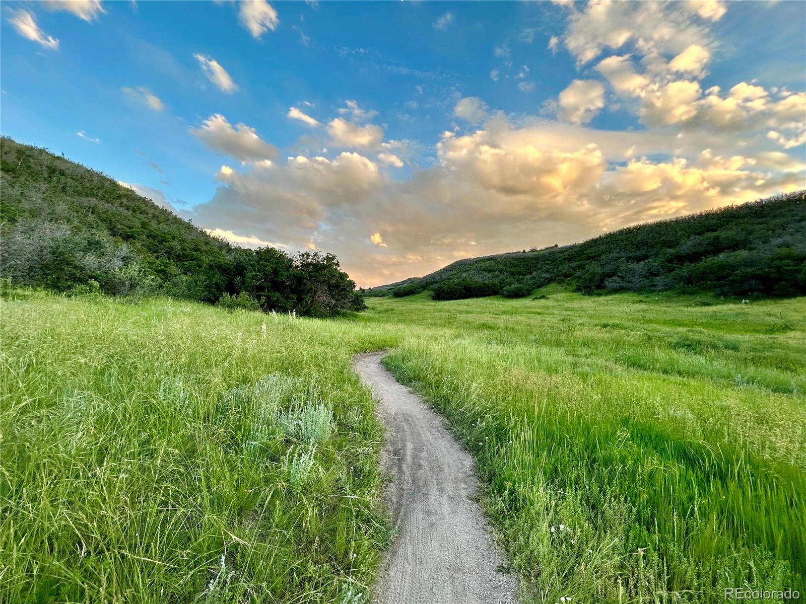 MLS Image #49 for 3543  sky church drive,castle rock, Colorado