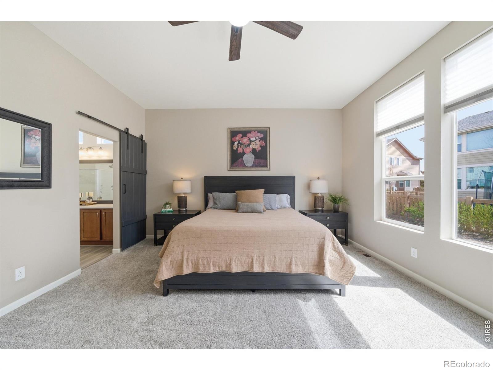 MLS Image #15 for 5406  carriage hill court,timnath, Colorado