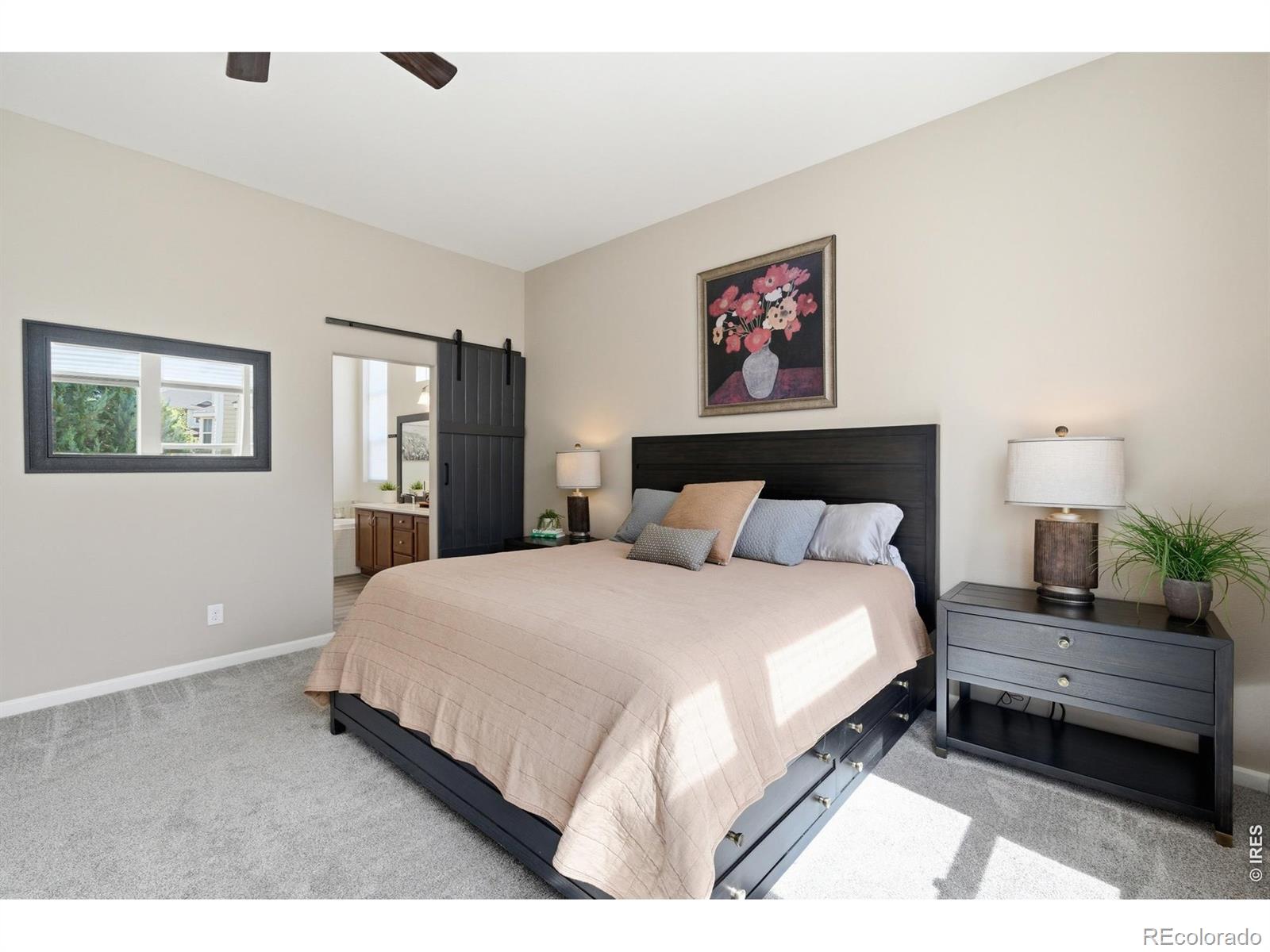 MLS Image #17 for 5406  carriage hill court,timnath, Colorado