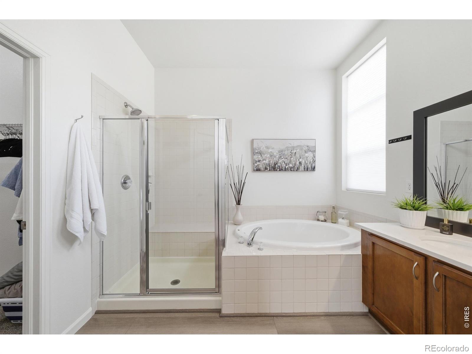 MLS Image #19 for 5406  carriage hill court,timnath, Colorado