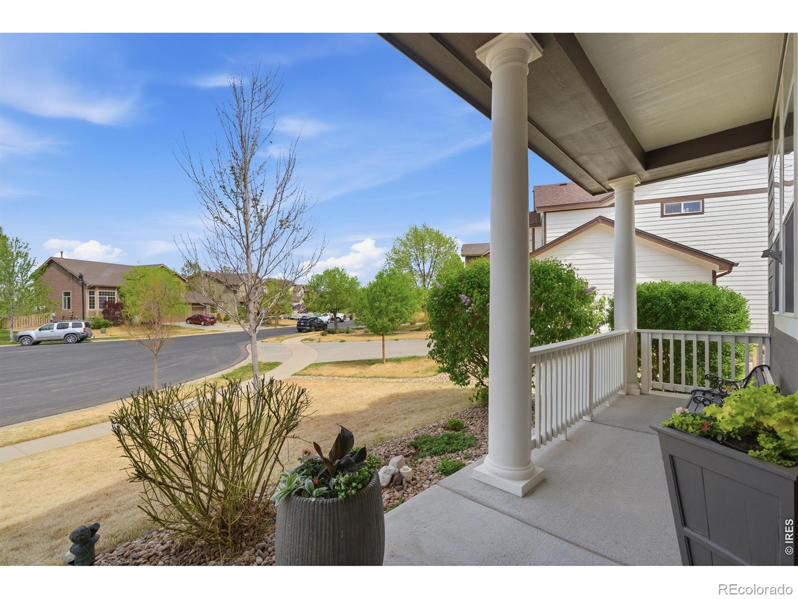 MLS Image #3 for 5406  carriage hill court,timnath, Colorado