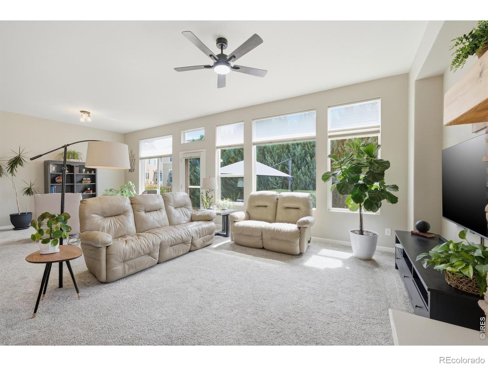 MLS Image #8 for 5406  carriage hill court,timnath, Colorado