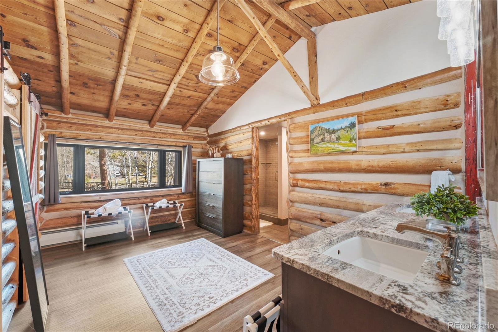 MLS Image #16 for 32928  bluebell circle,evergreen, Colorado