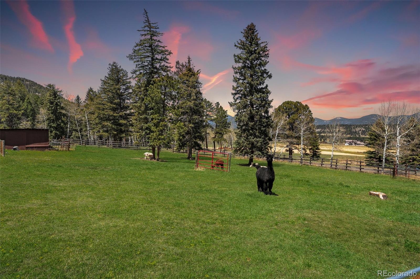 MLS Image #25 for 32928  bluebell circle,evergreen, Colorado