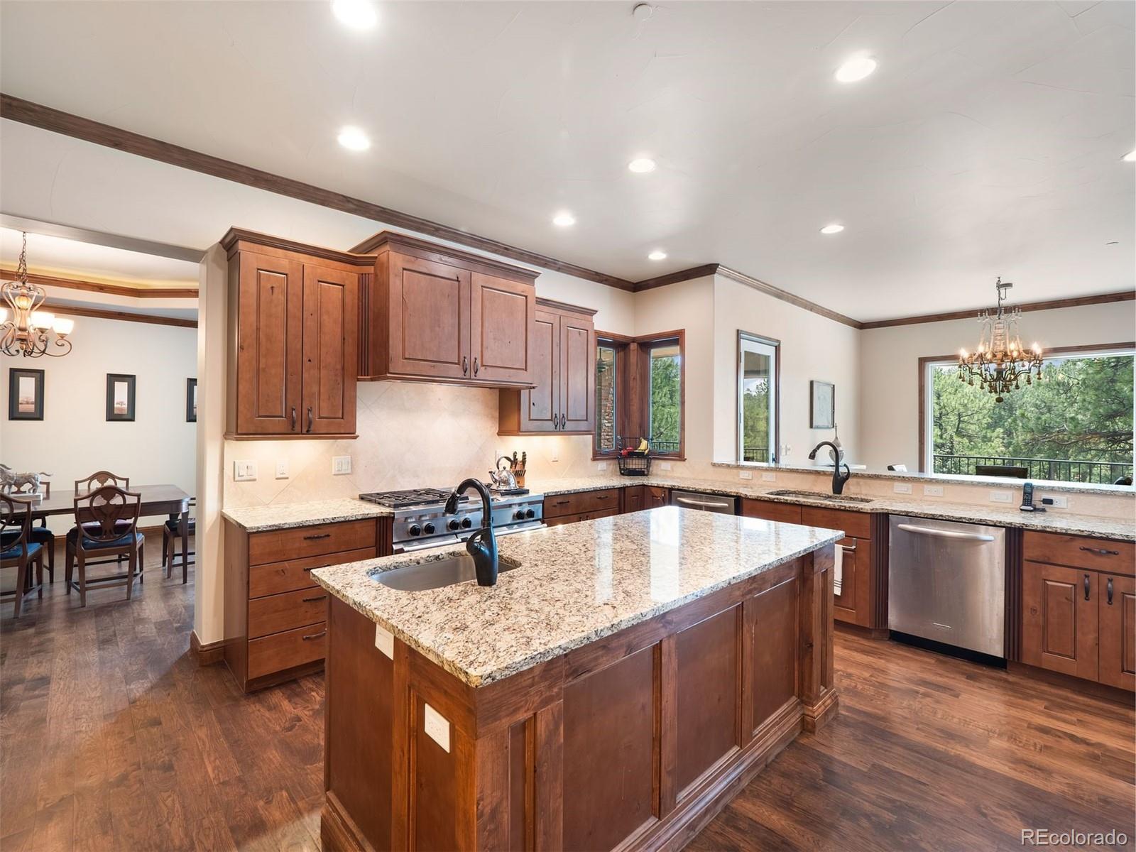 MLS Image #13 for 202  saratoga vein court,castle rock, Colorado