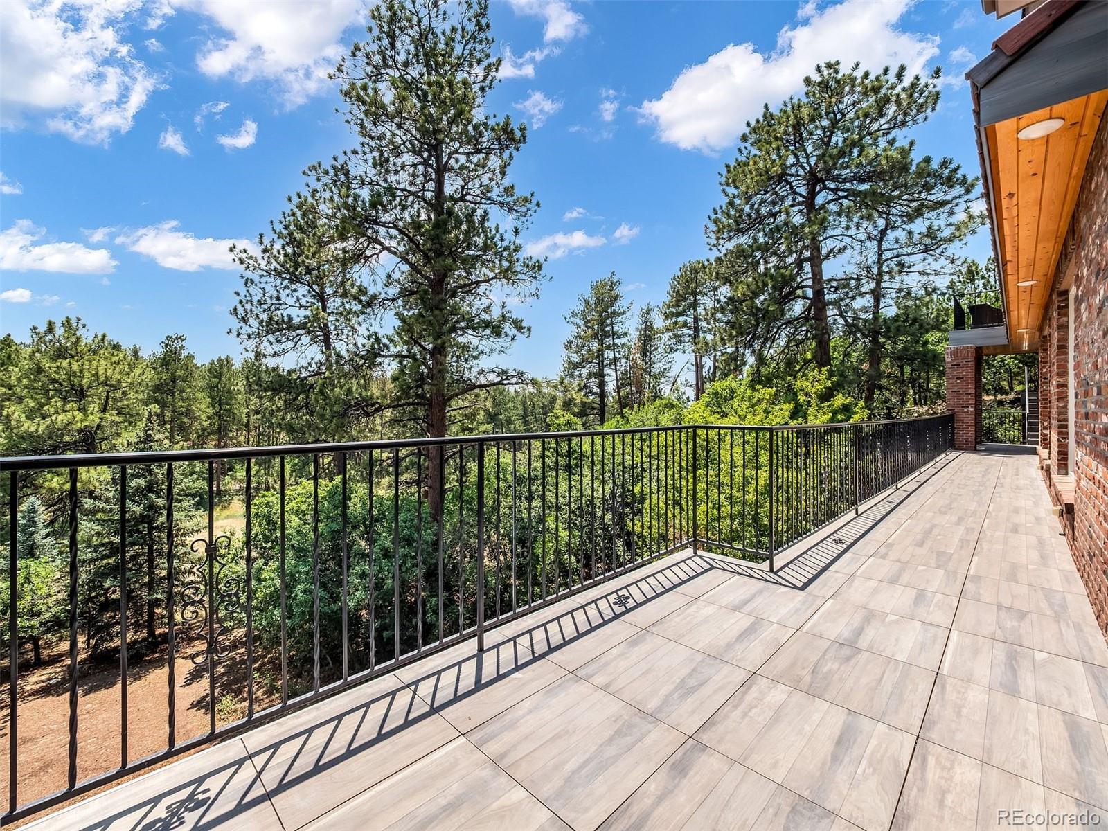 MLS Image #18 for 202  saratoga vein court,castle rock, Colorado