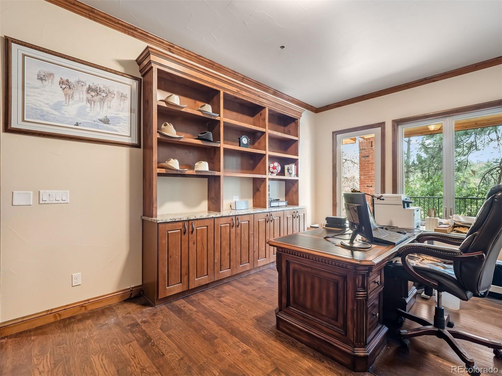 MLS Image #20 for 202  saratoga vein court,castle rock, Colorado