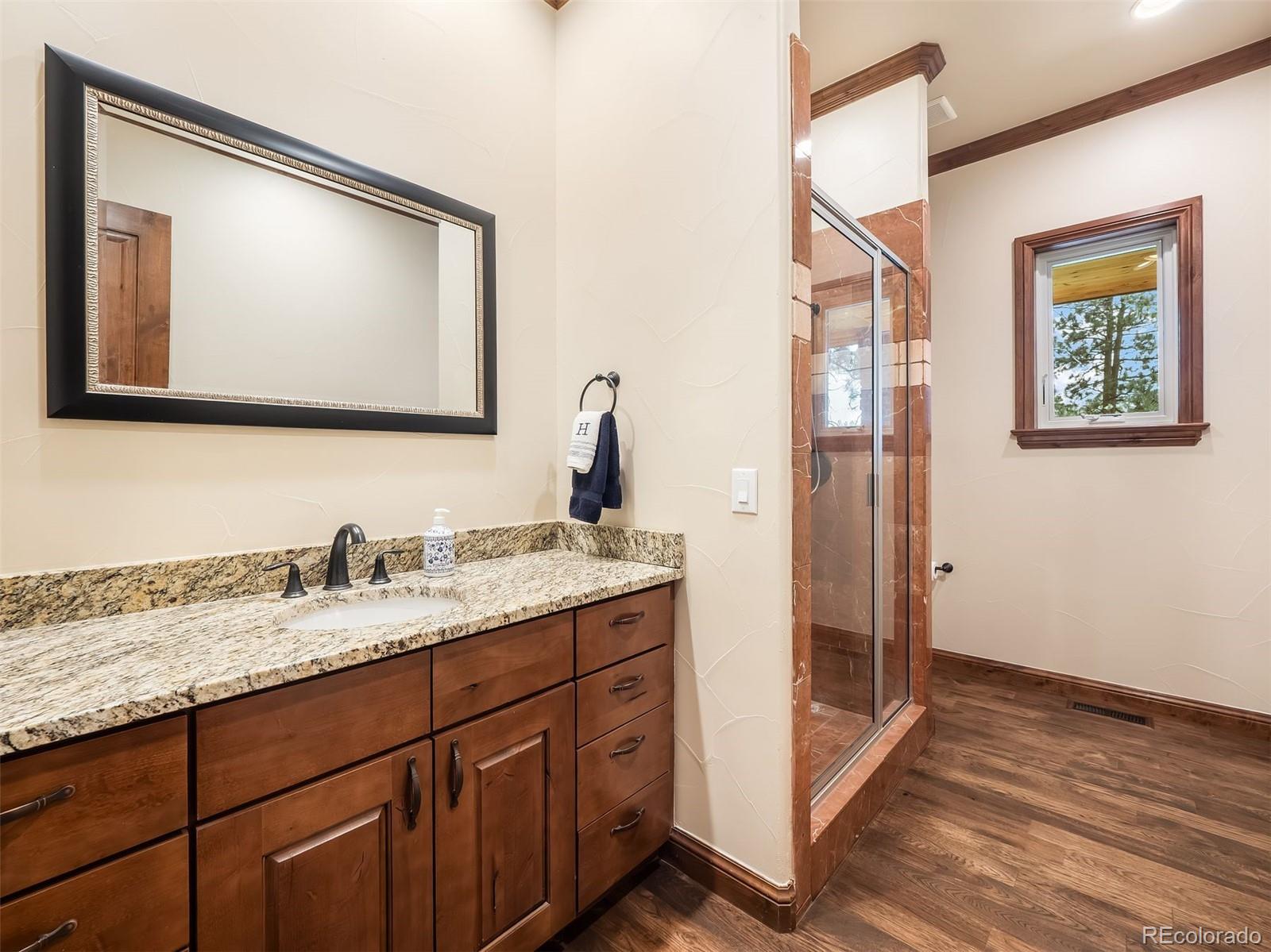 MLS Image #21 for 202  saratoga vein court,castle rock, Colorado