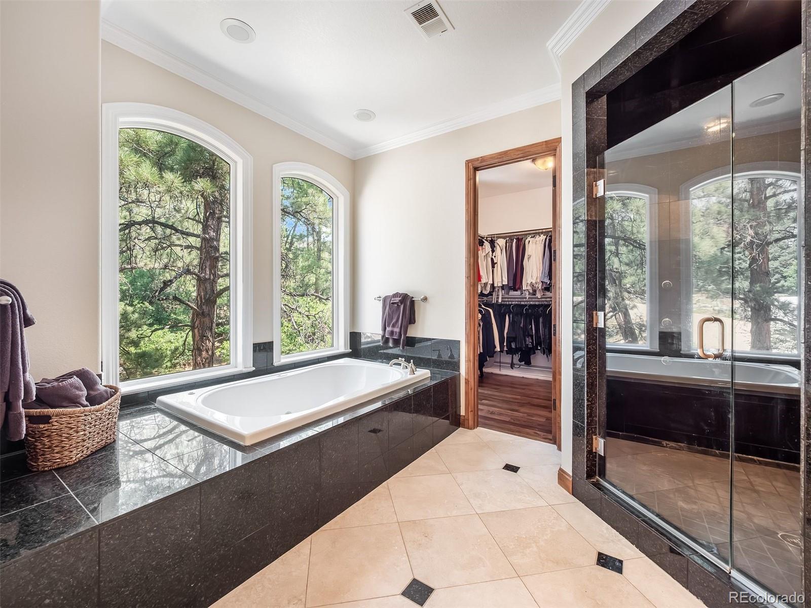 MLS Image #29 for 202  saratoga vein court,castle rock, Colorado