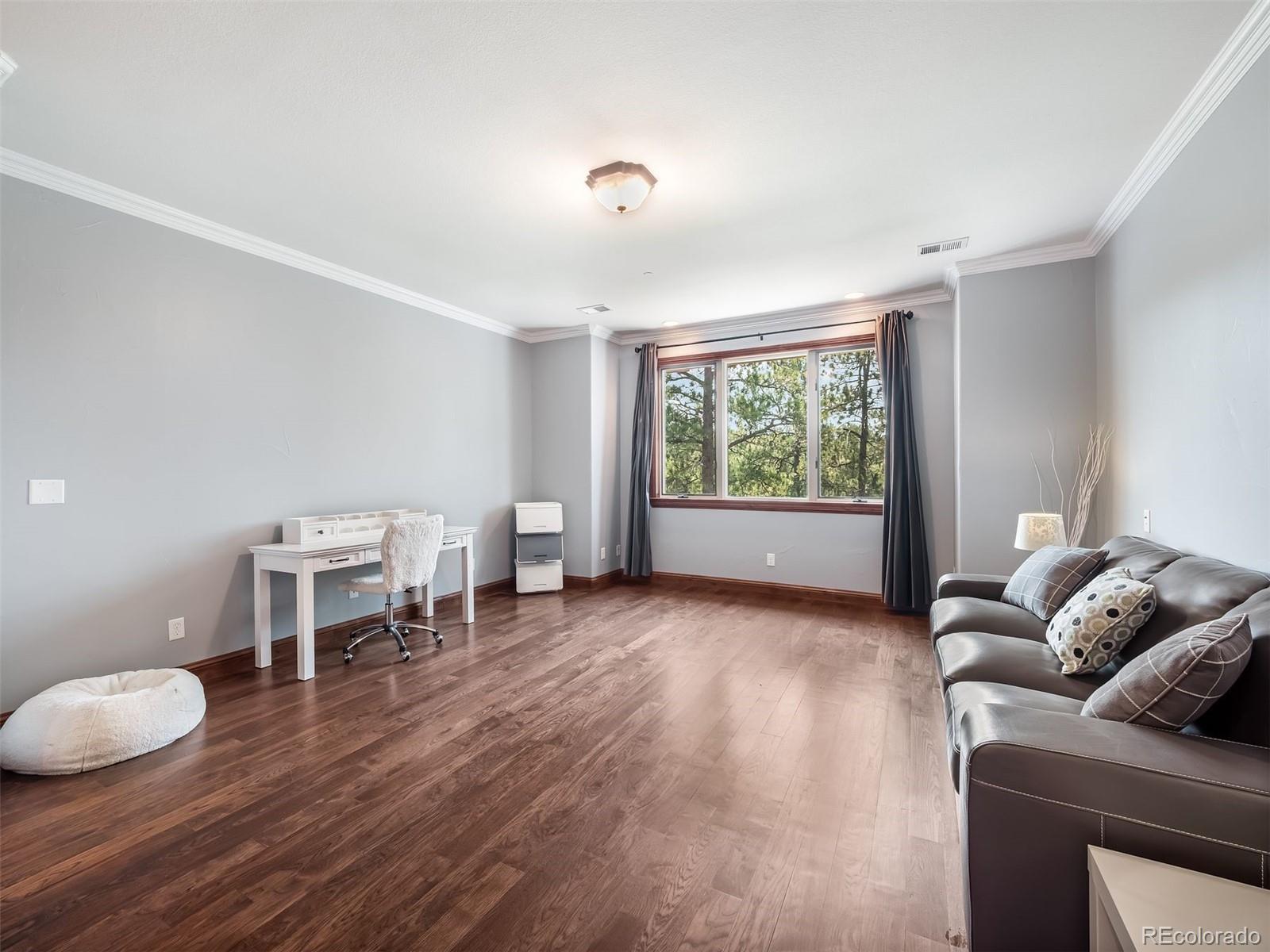 MLS Image #30 for 202  saratoga vein court,castle rock, Colorado