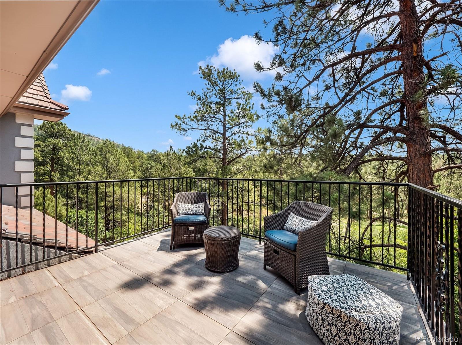 MLS Image #32 for 202  saratoga vein court,castle rock, Colorado