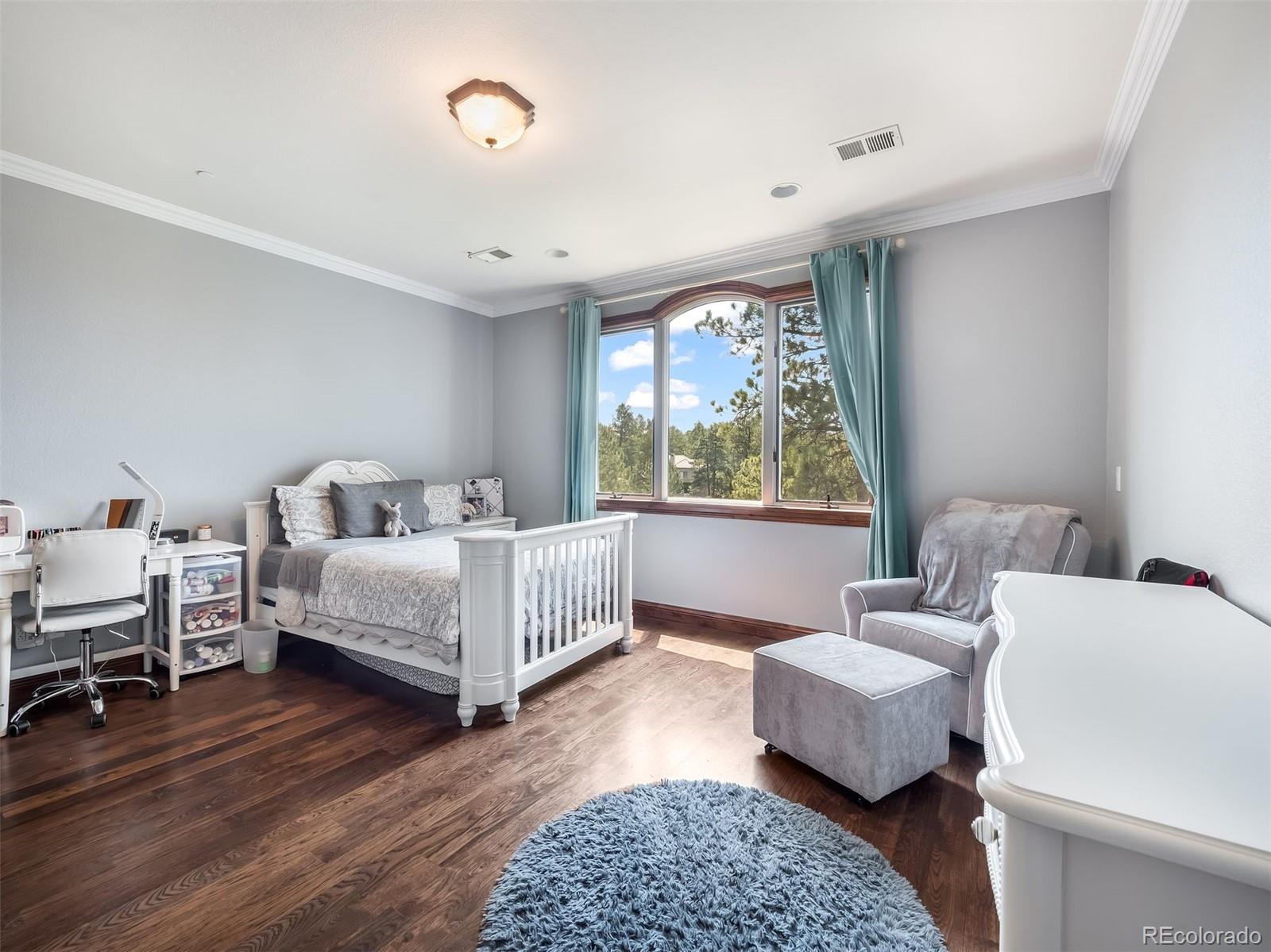 MLS Image #34 for 202  saratoga vein court,castle rock, Colorado