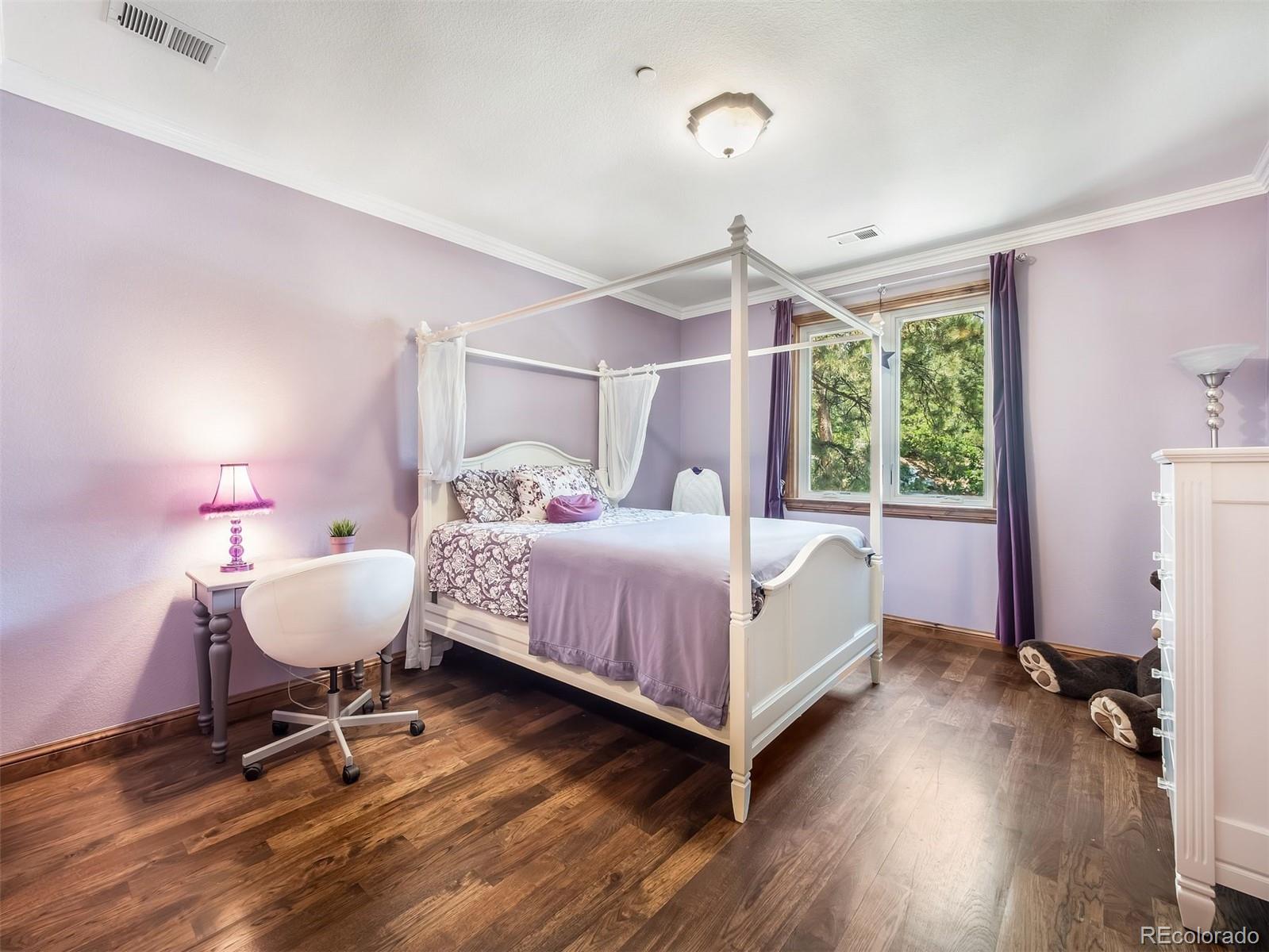 MLS Image #35 for 202  saratoga vein court,castle rock, Colorado