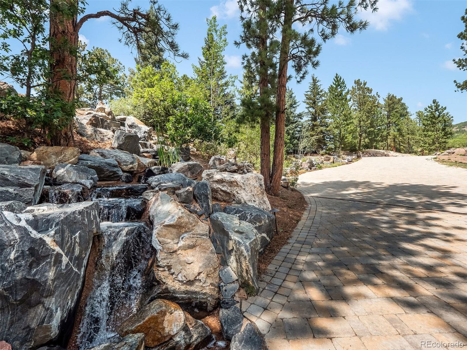 MLS Image #4 for 202  saratoga vein court,castle rock, Colorado