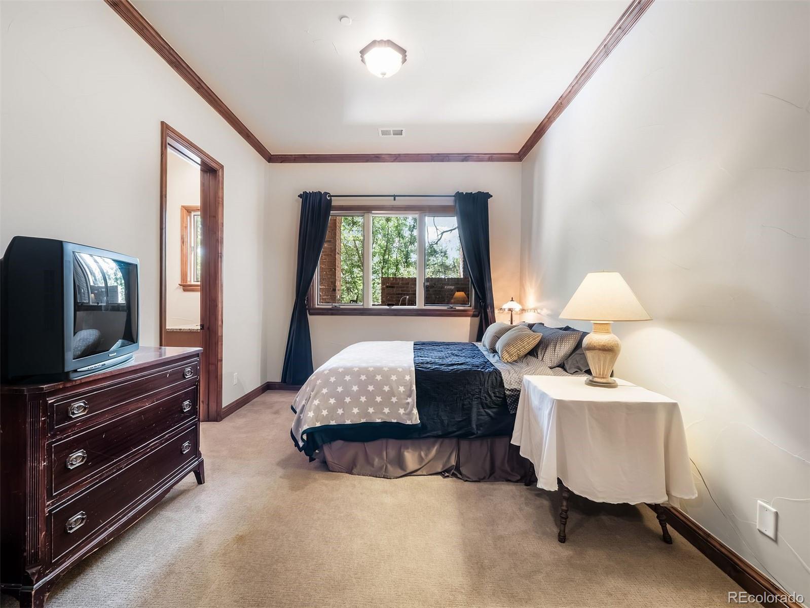 MLS Image #42 for 202  saratoga vein court,castle rock, Colorado