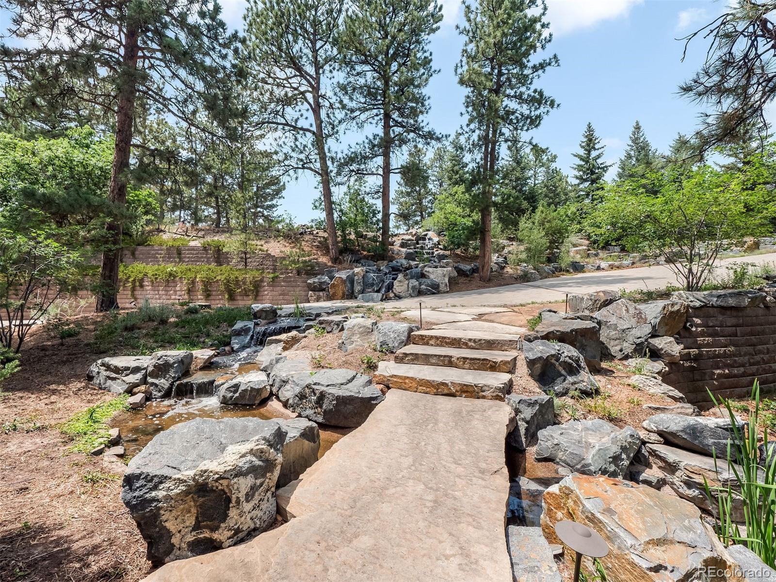 MLS Image #5 for 202  saratoga vein court,castle rock, Colorado