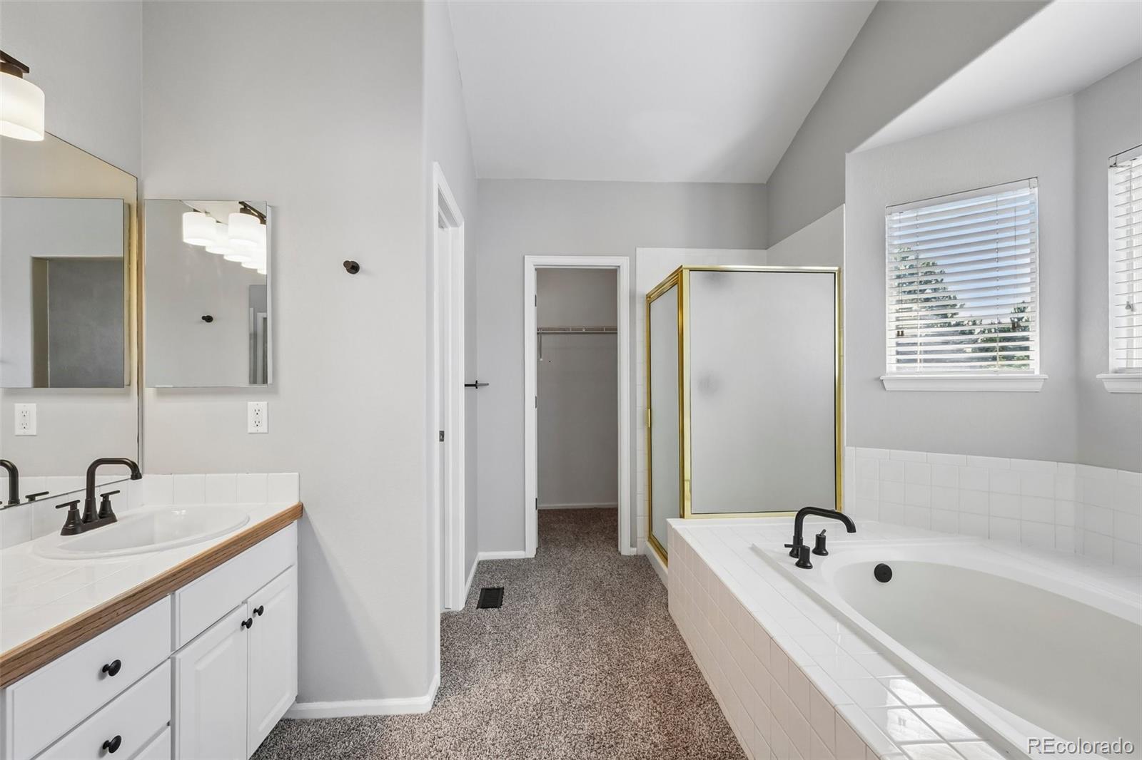 MLS Image #26 for 6642  tiger tooth ,lone tree, Colorado