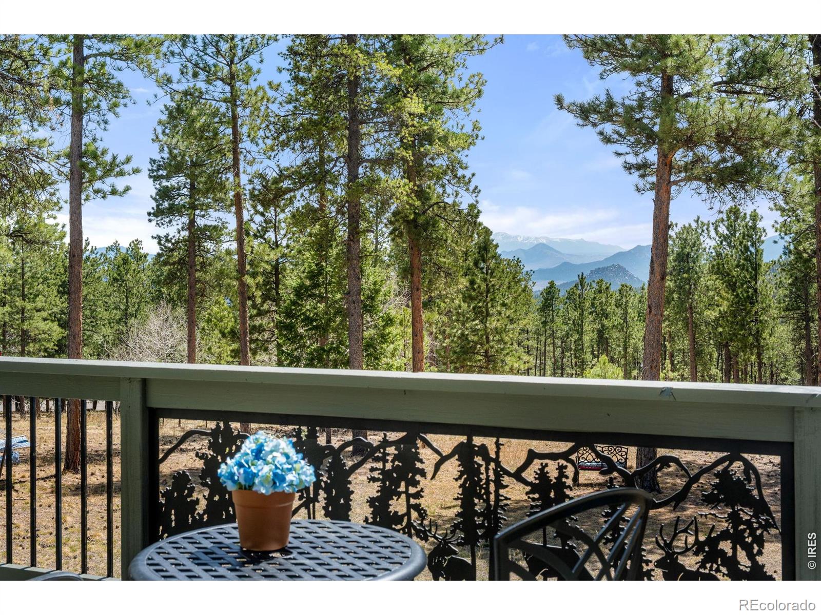 MLS Image #20 for 27291  molly drive,conifer, Colorado