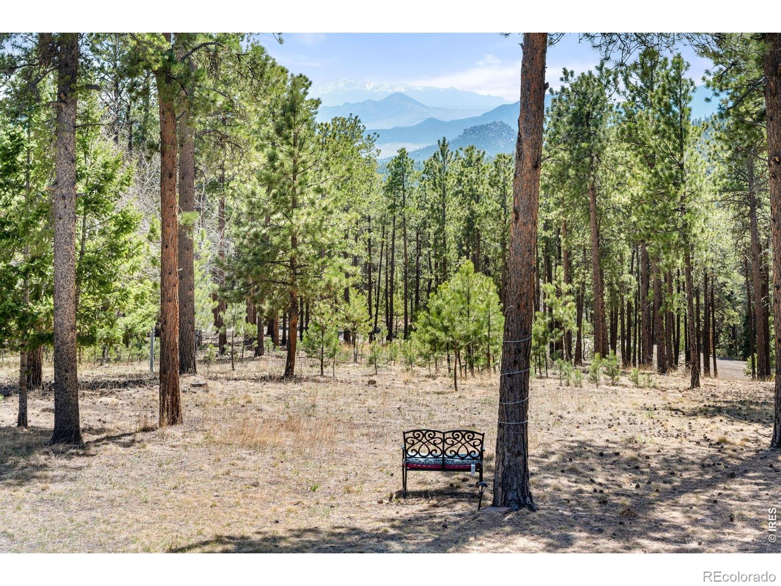 MLS Image #44 for 27291  molly drive,conifer, Colorado