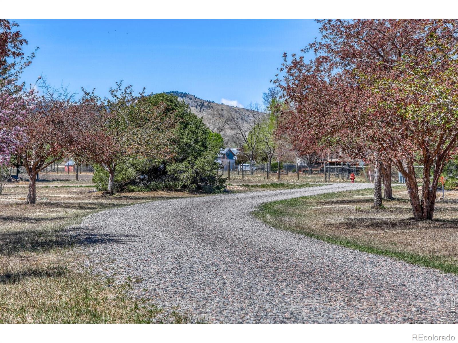 MLS Image #20 for 6036  saint vrain road,longmont, Colorado