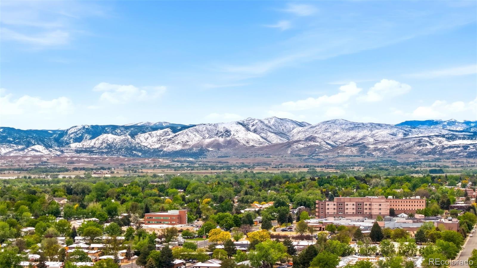 MLS Image #2 for 1350  grant street,longmont, Colorado