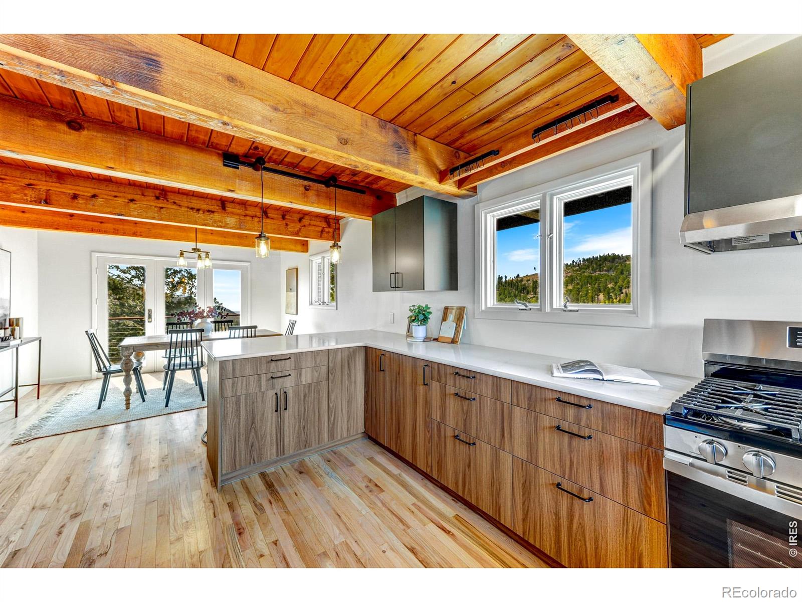 MLS Image #14 for 329  county road 87j ,jamestown, Colorado