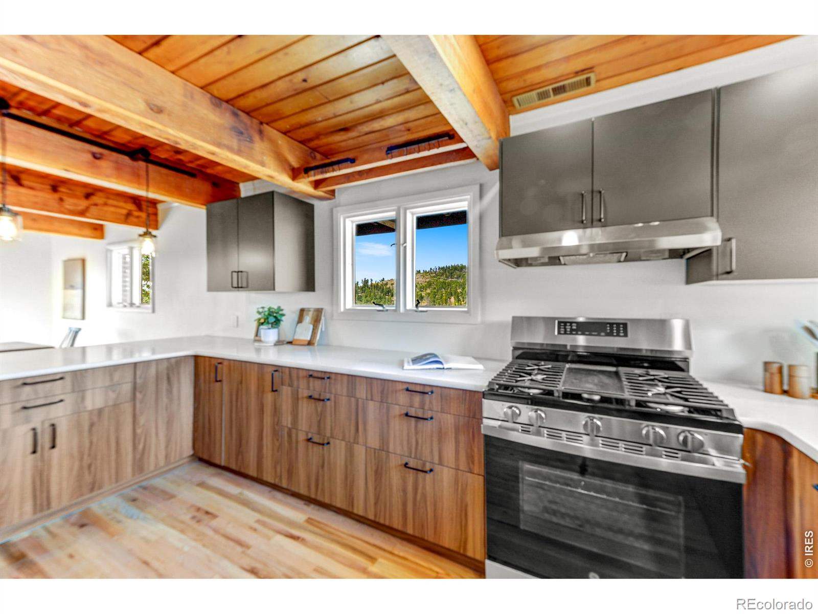 MLS Image #15 for 329  county road 87j ,jamestown, Colorado