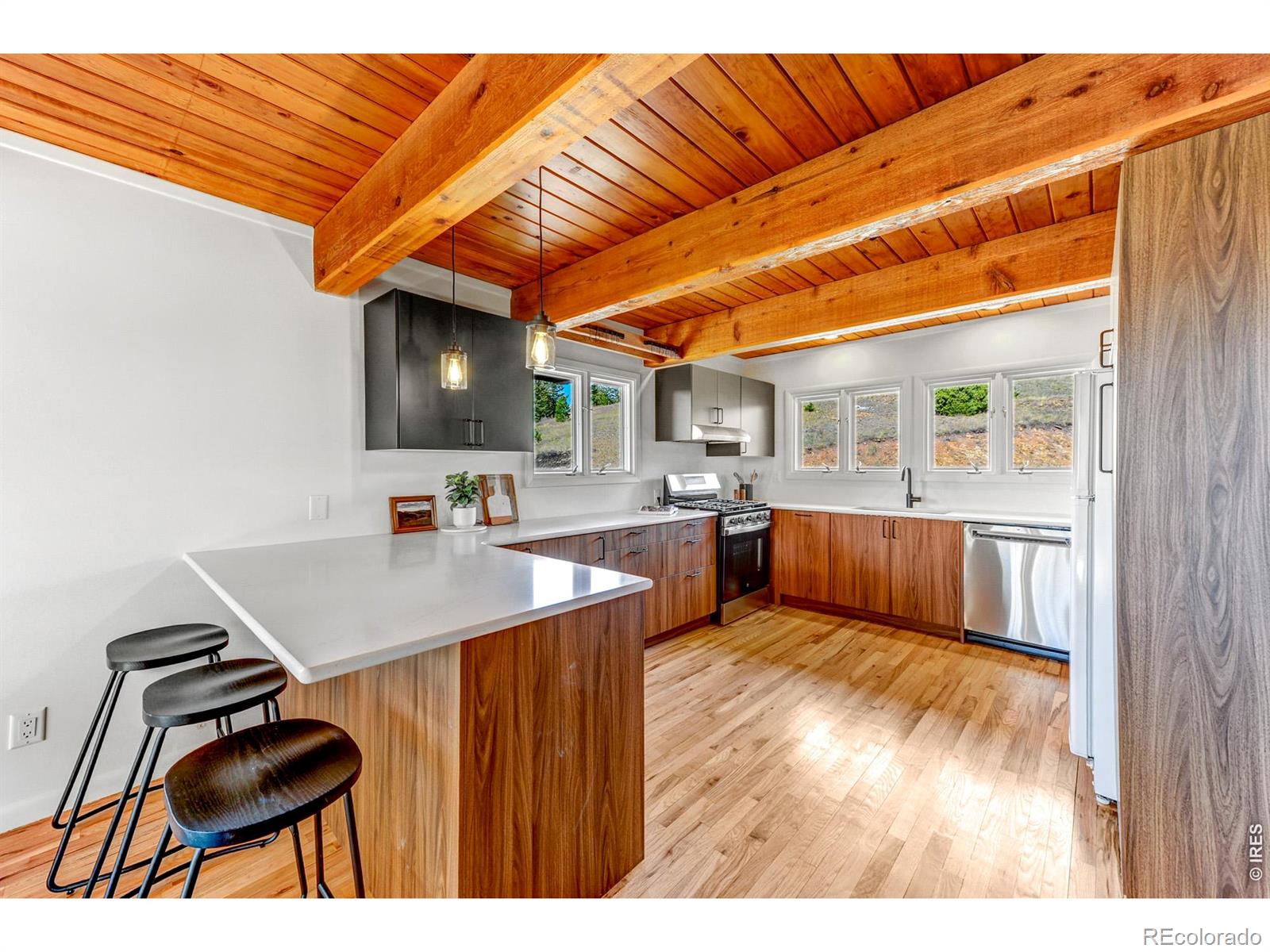MLS Image #16 for 329  county road 87j ,jamestown, Colorado