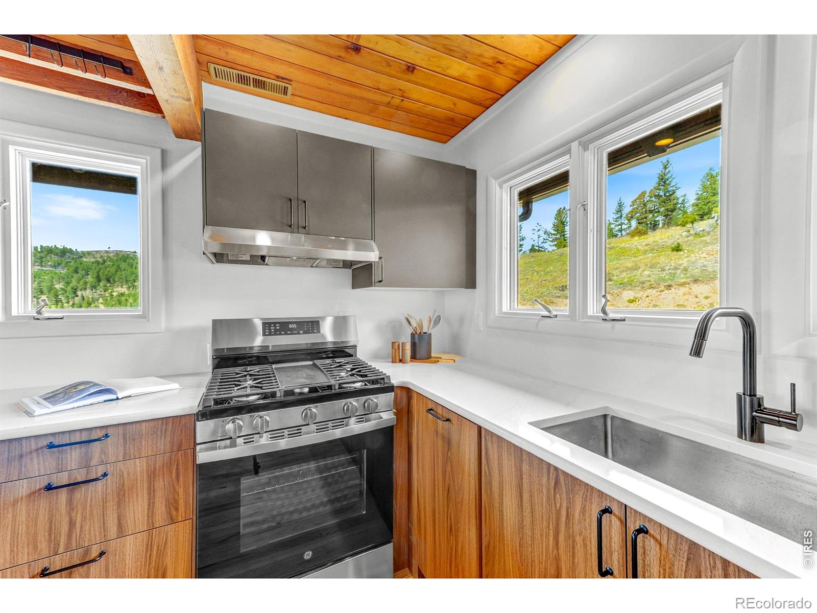 MLS Image #17 for 329  county road 87j ,jamestown, Colorado