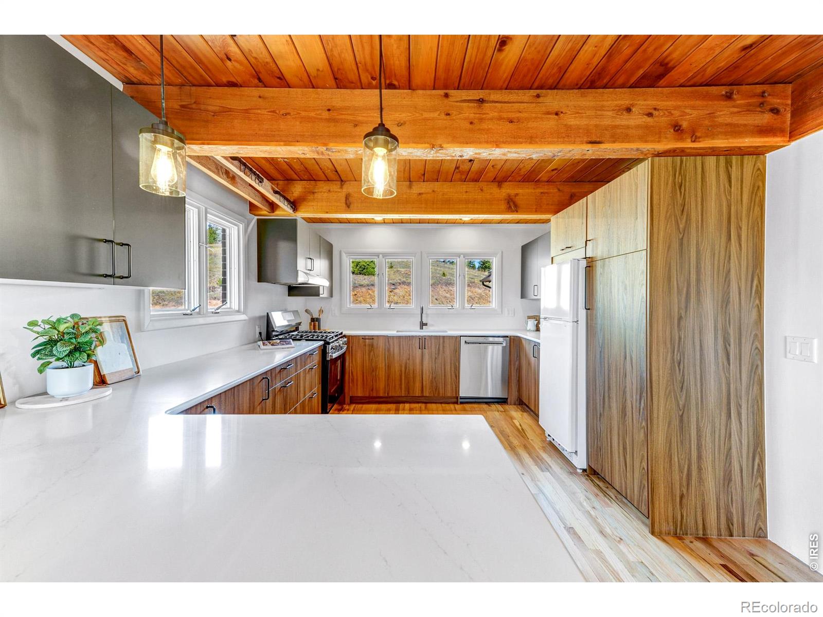 MLS Image #18 for 329  county road 87j ,jamestown, Colorado