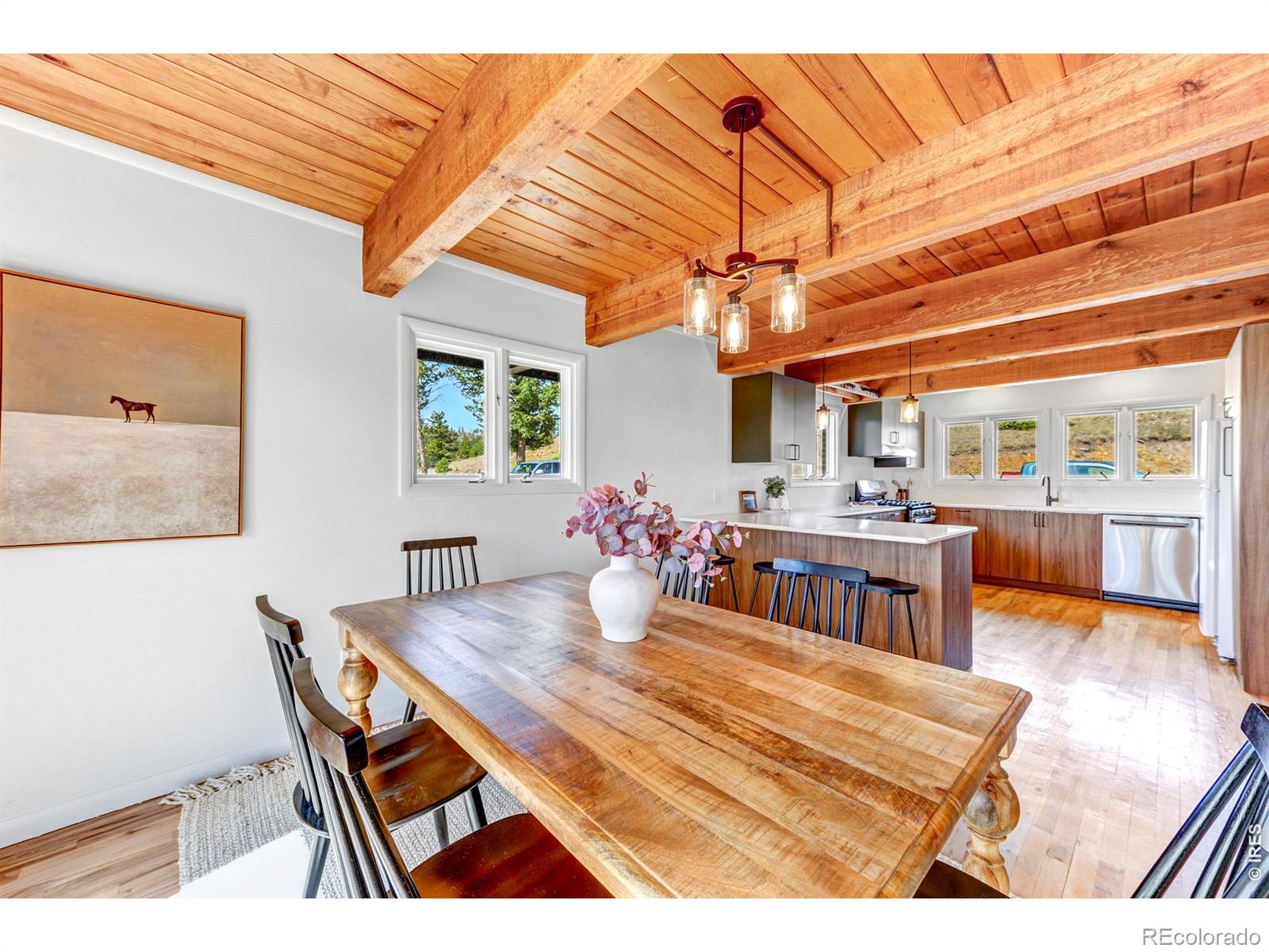 MLS Image #20 for 329  county road 87j ,jamestown, Colorado