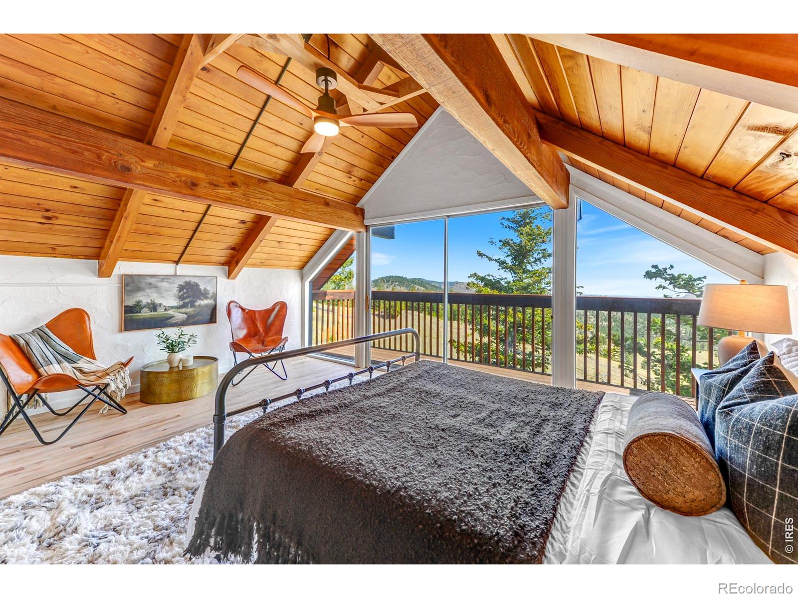 MLS Image #27 for 329  county road 87j ,jamestown, Colorado