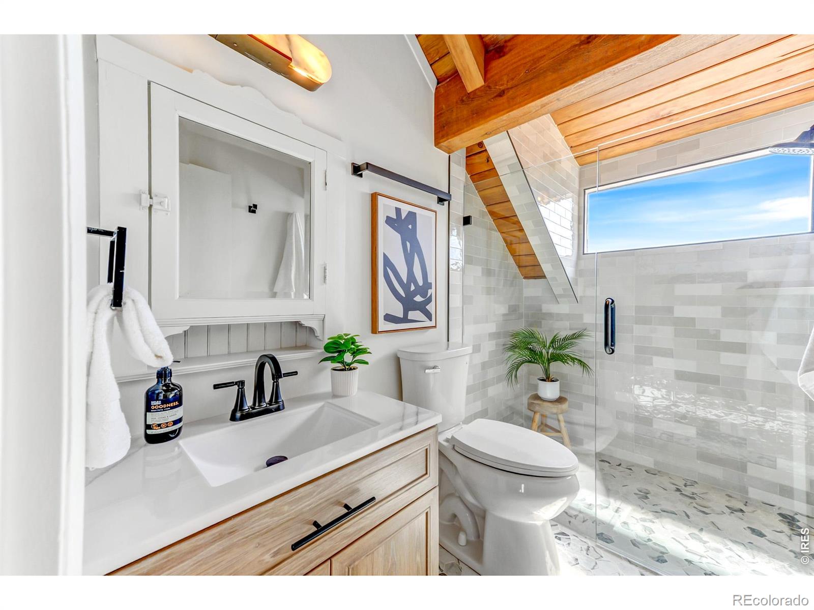 MLS Image #29 for 329  county road 87j ,jamestown, Colorado
