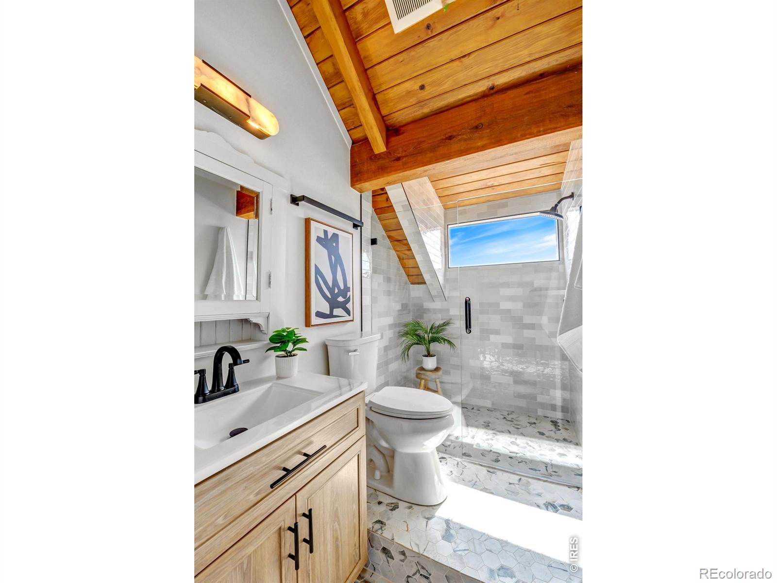 MLS Image #30 for 329  county road 87j ,jamestown, Colorado