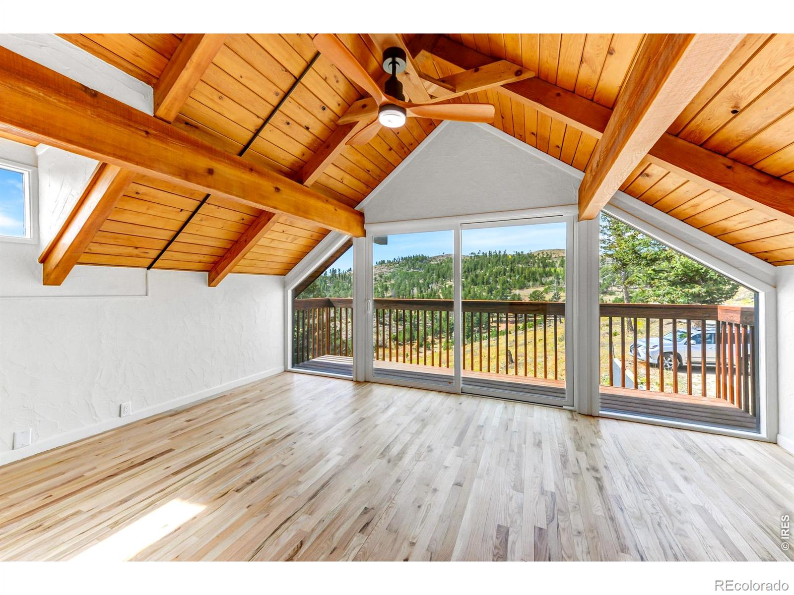 MLS Image #31 for 329  county road 87j ,jamestown, Colorado