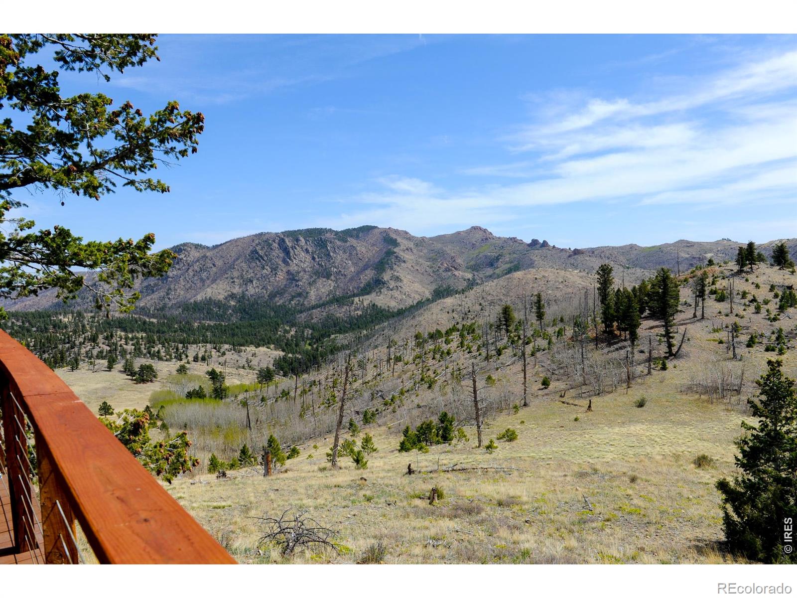 MLS Image #39 for 329  county road 87j ,jamestown, Colorado