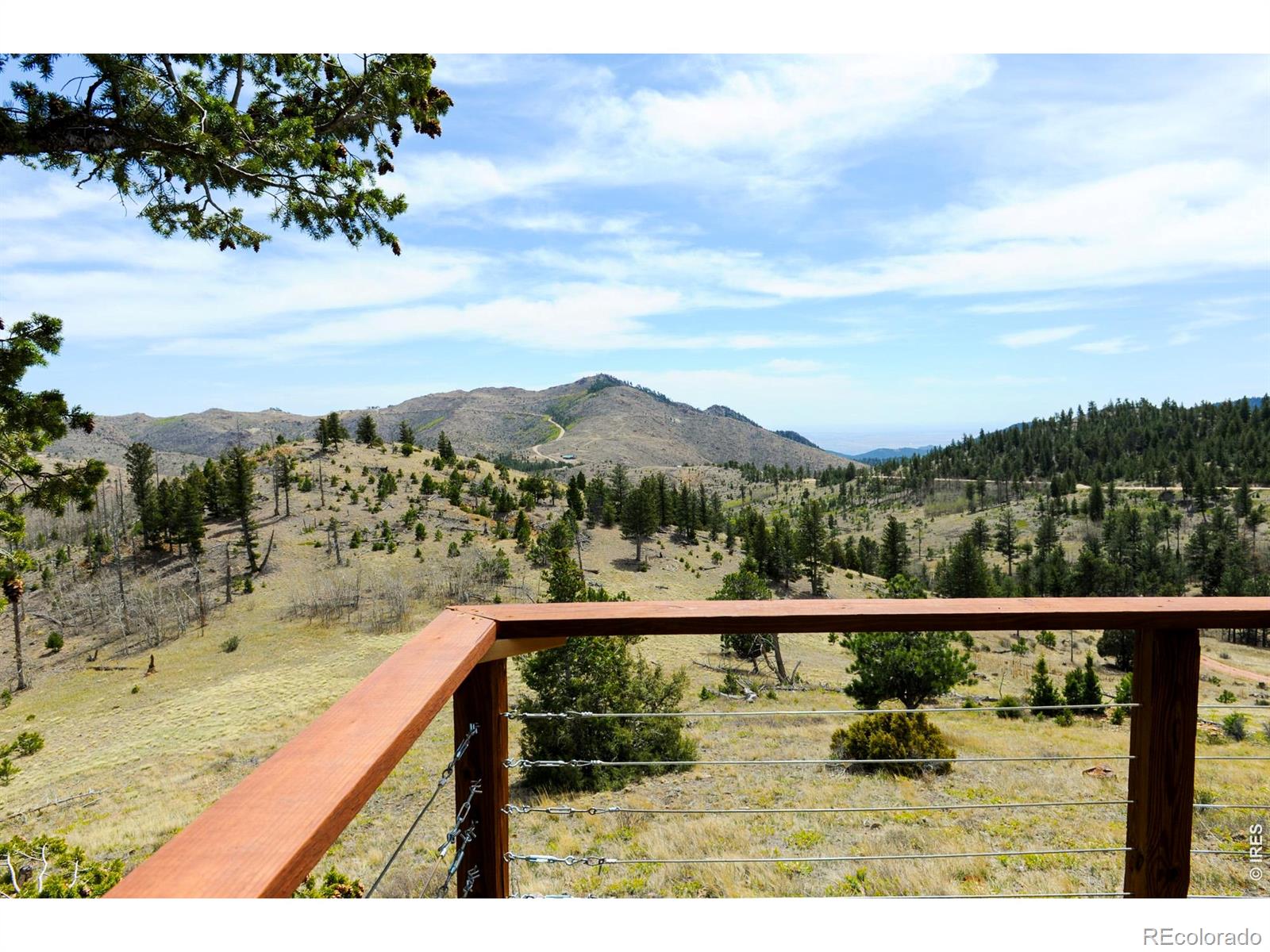 MLS Image #40 for 329  county road 87j ,jamestown, Colorado