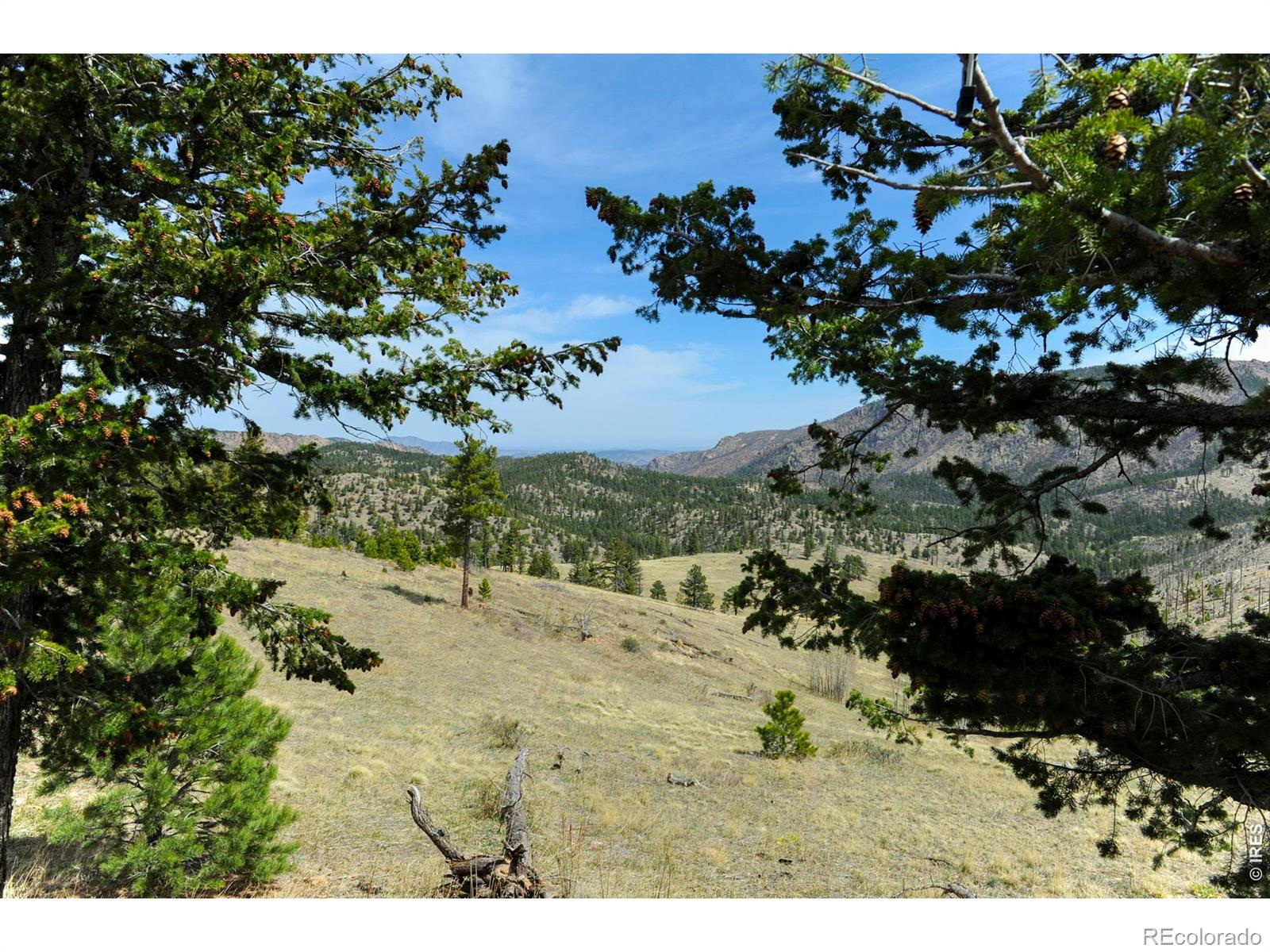 MLS Image #41 for 329  county road 87j ,jamestown, Colorado