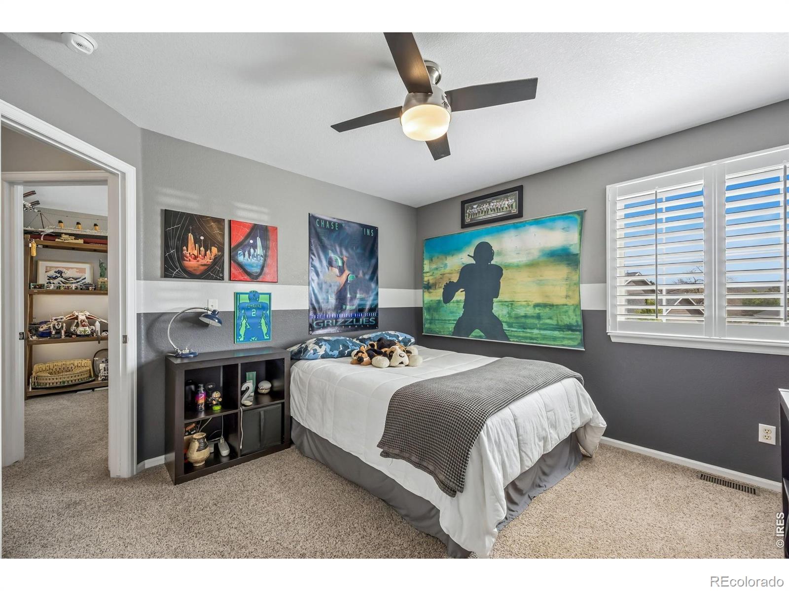 MLS Image #20 for 2557  baneberry lane,highlands ranch, Colorado