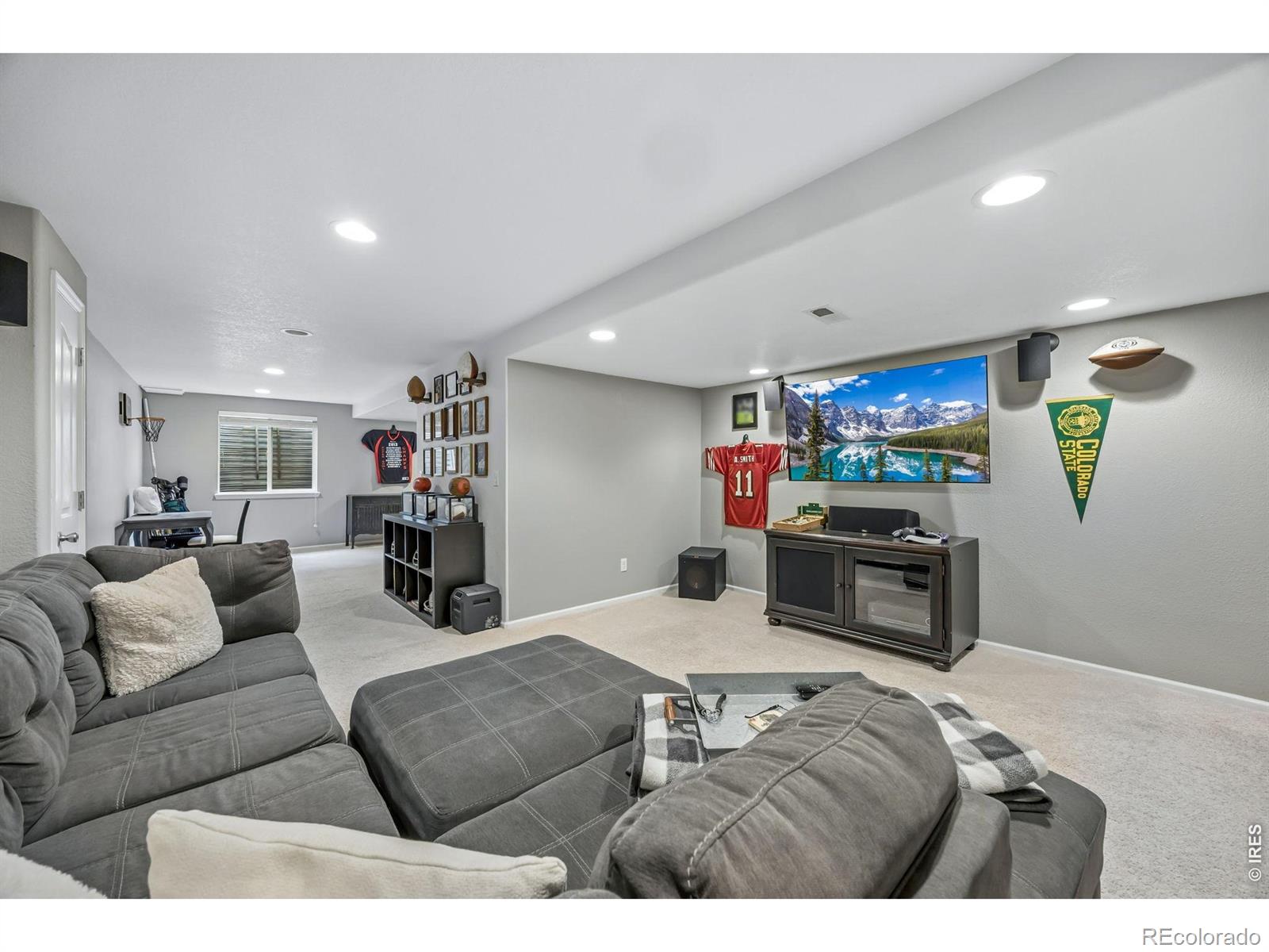 MLS Image #24 for 2557  baneberry lane,highlands ranch, Colorado