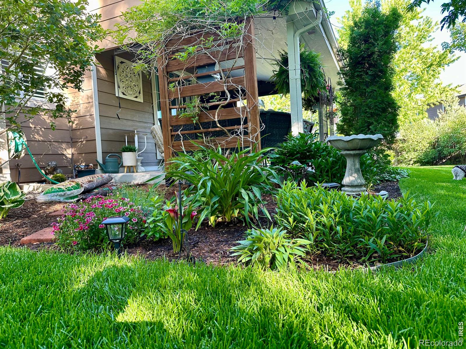 MLS Image #32 for 2557  baneberry lane,highlands ranch, Colorado
