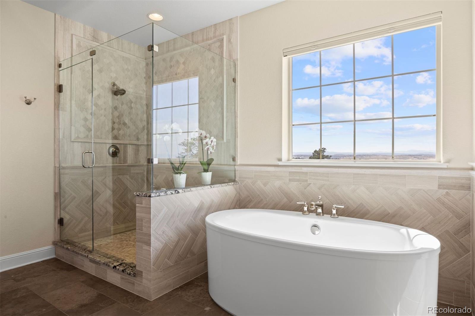 MLS Image #31 for 11567  pine canyon drive,parker, Colorado